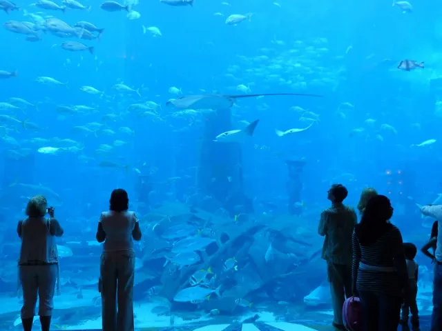 Visitor silhouettes facing a huge blue viewing wall with fish and a reef
