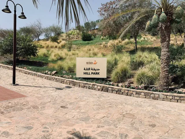 A paved path along a low stone wall with a slope planted in ornamental grasses and palms
