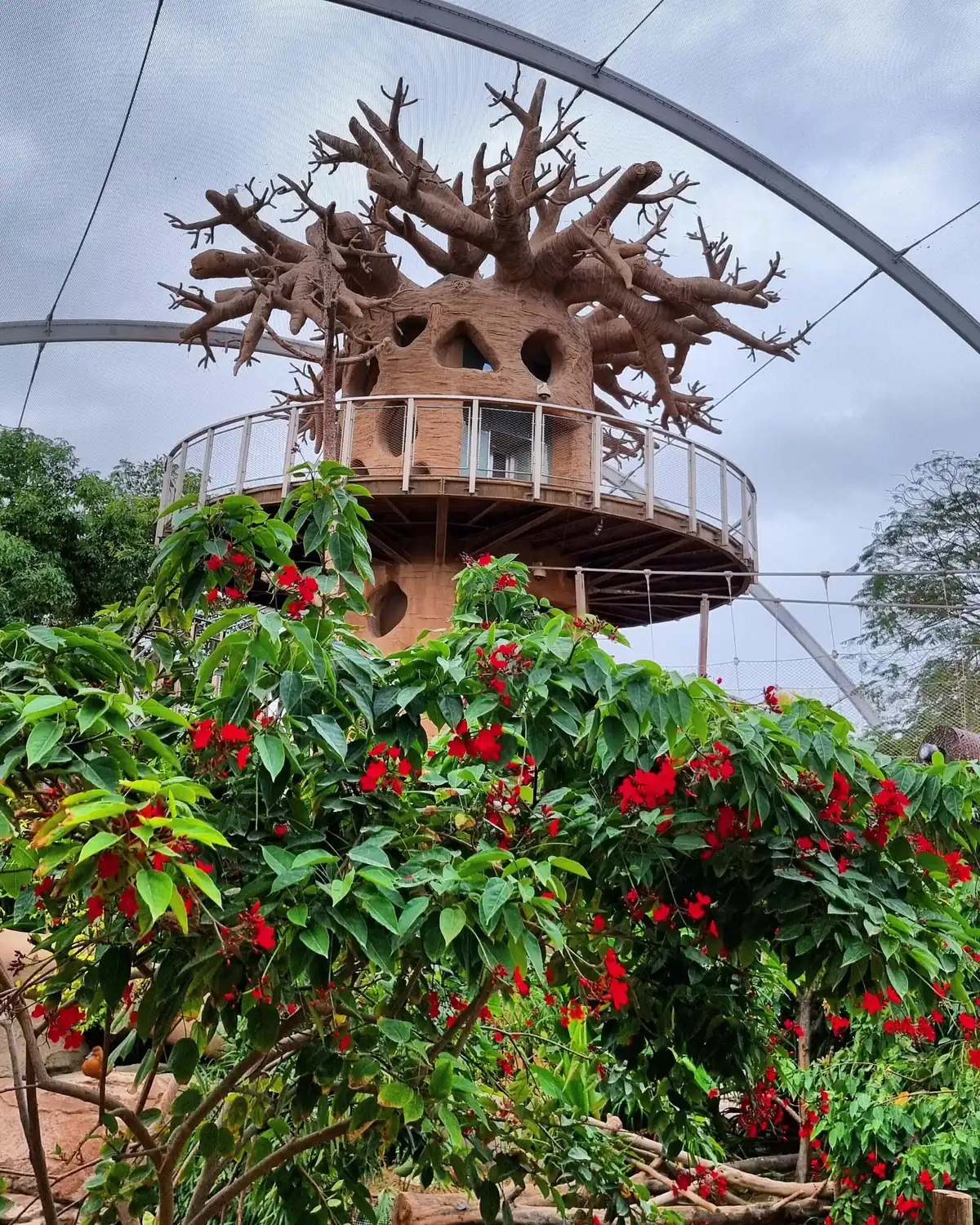 A wooden viewing structure above red flowering shrubs inside a mesh dome