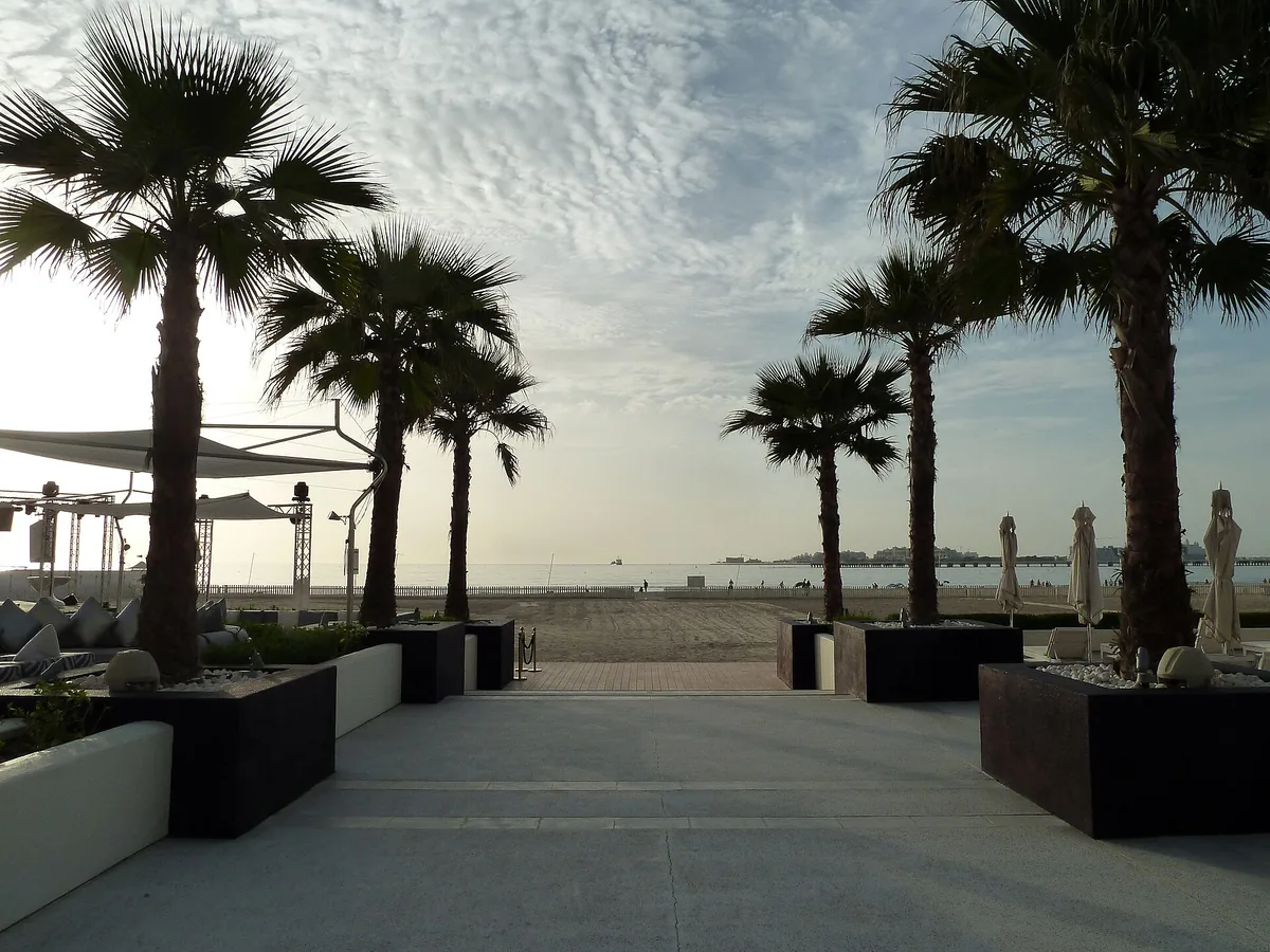 Palms and a beach club deck at dusk