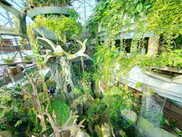 An indoor space packed with tropical greenery around a central tree and a small waterfall