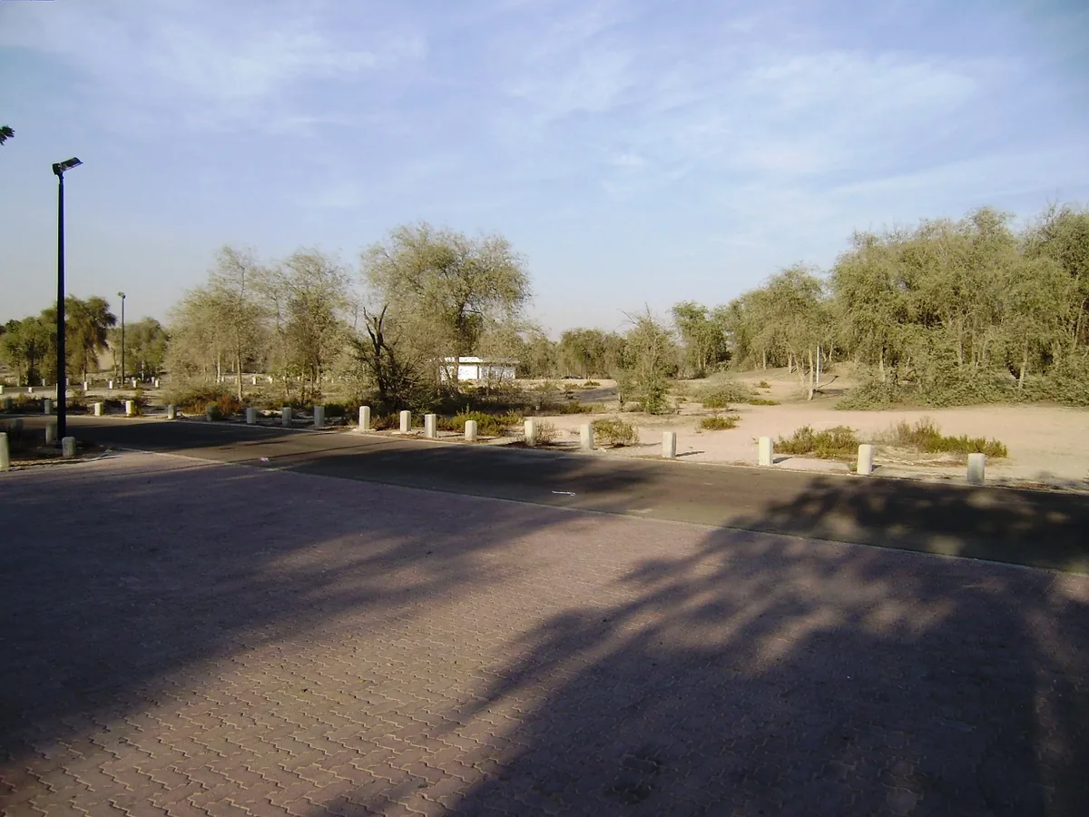 A sandy clearing and trees in a park