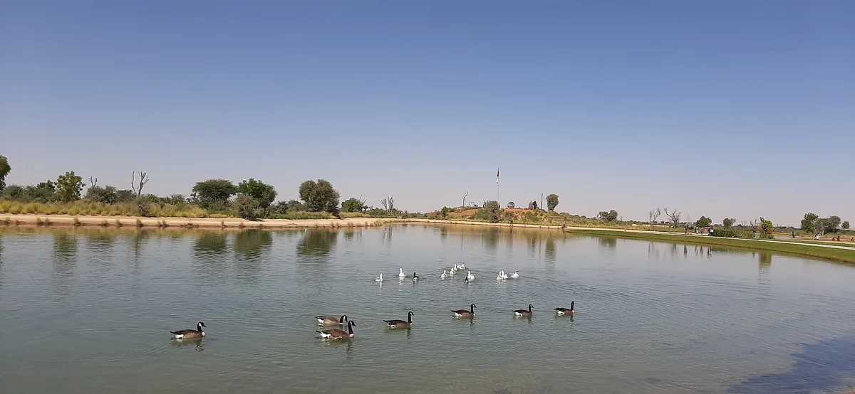 A lake with waterfowl and reeds at the desert edge