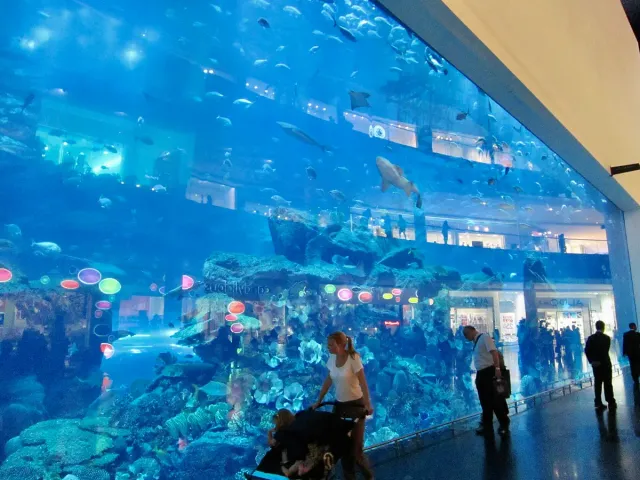 A huge blue viewing wall with shoals of fish and a shark, visitors watching from below