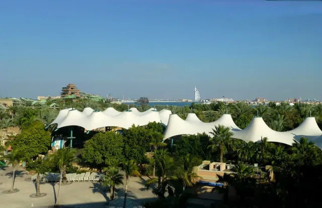 White canopy roofs among palms at a water park with a slide tower behind