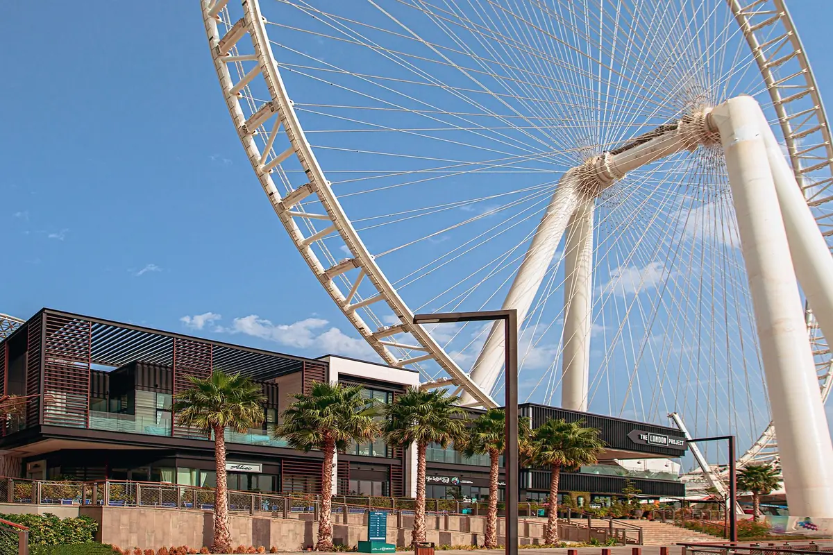 A giant observation wheel beside a palm lined promenade