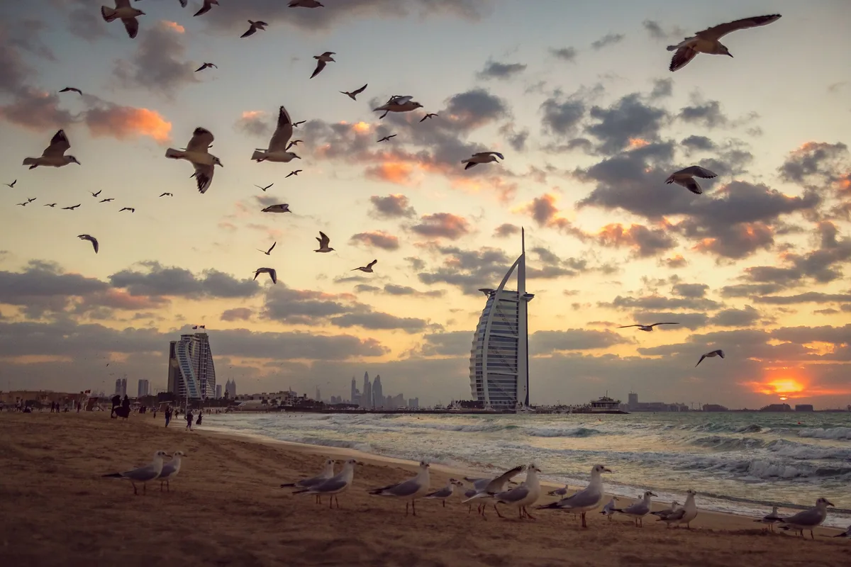A sail shaped hotel in silhouette against an orange sunset with gulls in the air