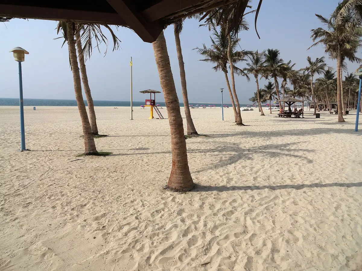 Palms leaning over white sand with shade huts and the sea behind