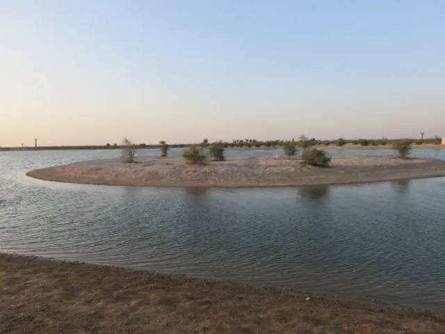 A calm desert lake with a low sand island and sparse shrubs