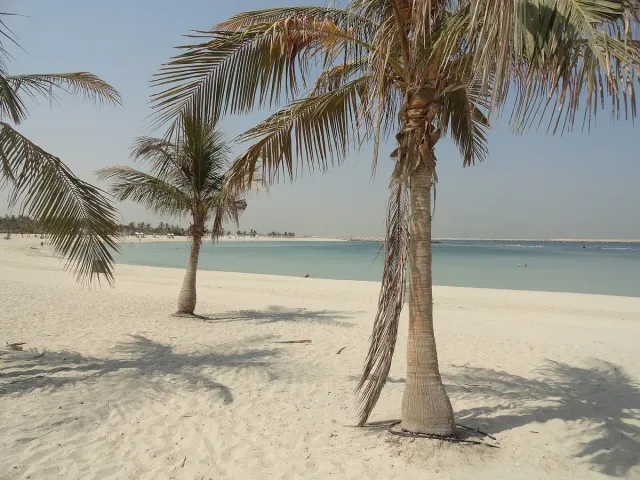 Palm trees casting shade on white sand facing calm turquoise water